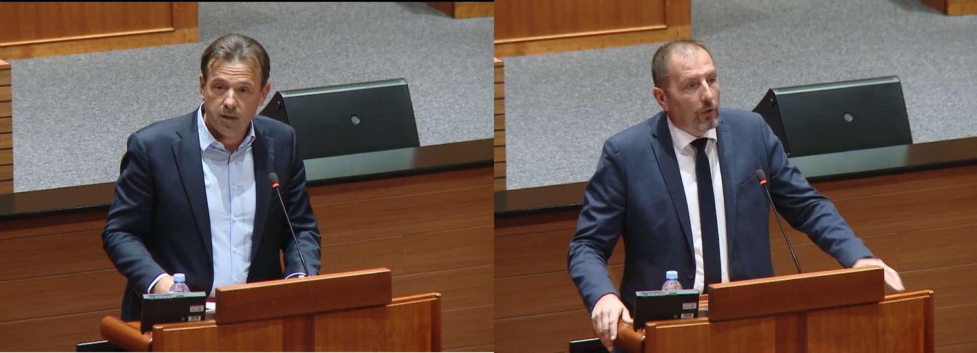 IDS u Saboru: Opasni naleti divljači dnevno u Istri, a sustav i dalje ne prati stanje na terenu
